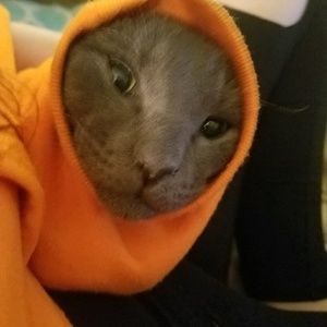 Meet your Posher, Jenna